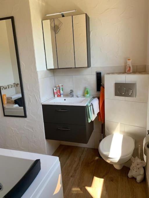 Ueber Den Daechern Von Koblenz - Aussichts-Wohnung Naturpark Rheinblick, Ruhig, Zentrumsnah, Sport-Pool Kültér fotó