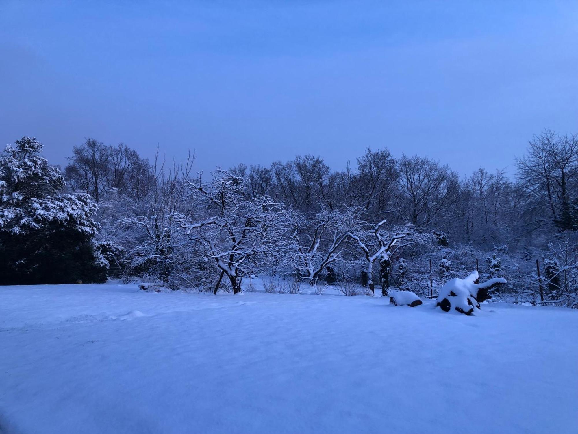 Ueber Den Daechern Von Koblenz - Aussichts-Wohnung Naturpark Rheinblick, Ruhig, Zentrumsnah, Sport-Pool Kültér fotó